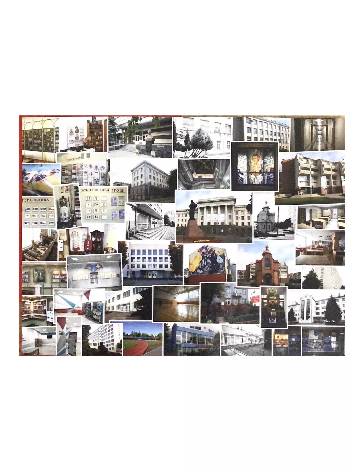 випускники