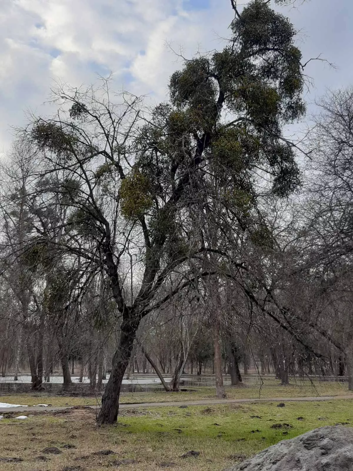 географічний