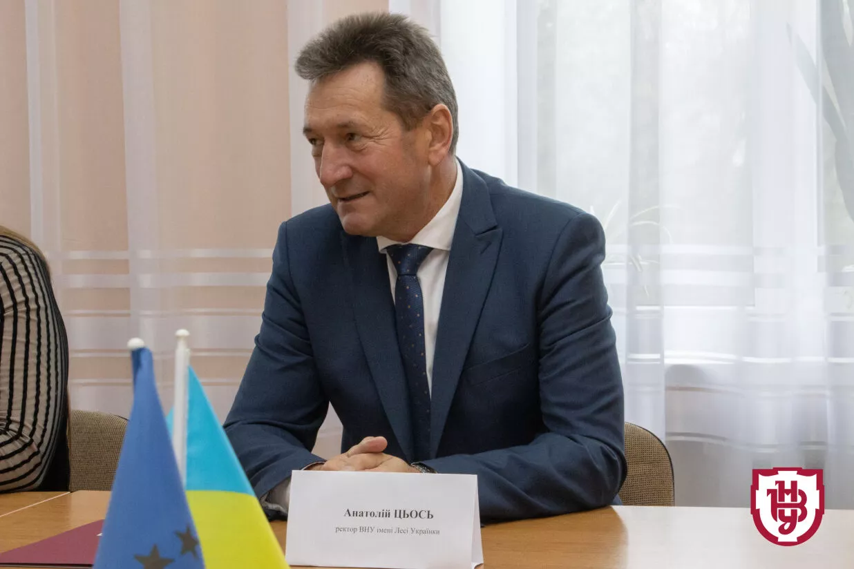 співпраця