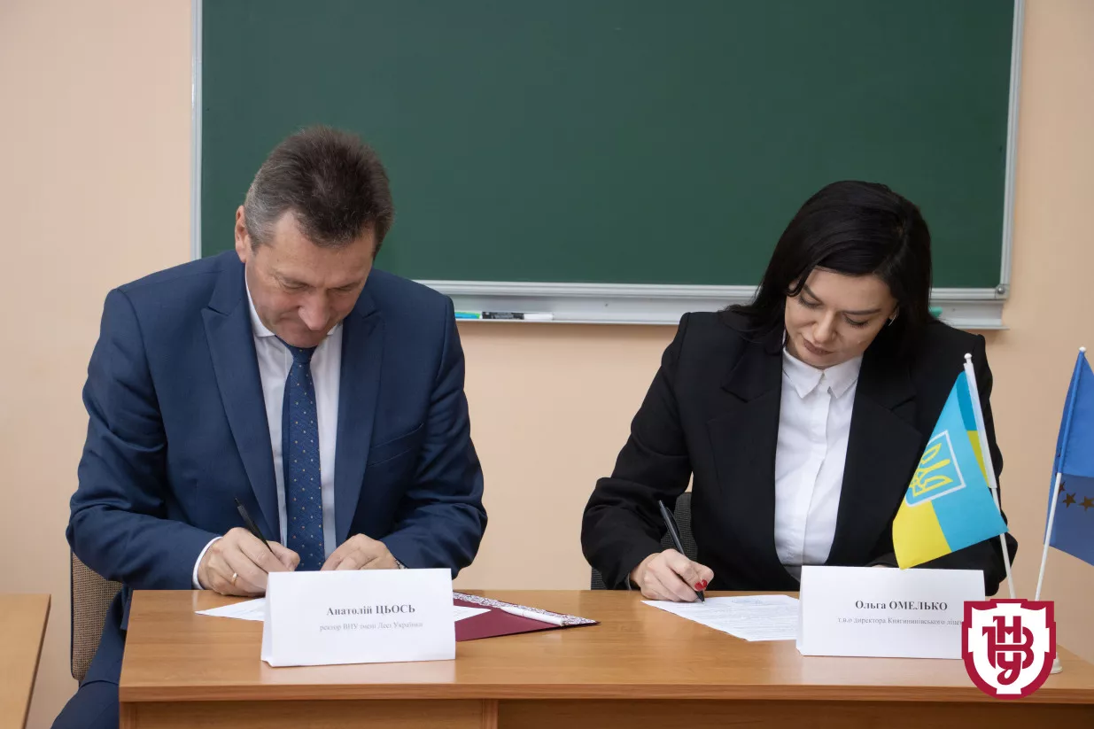 співпраця