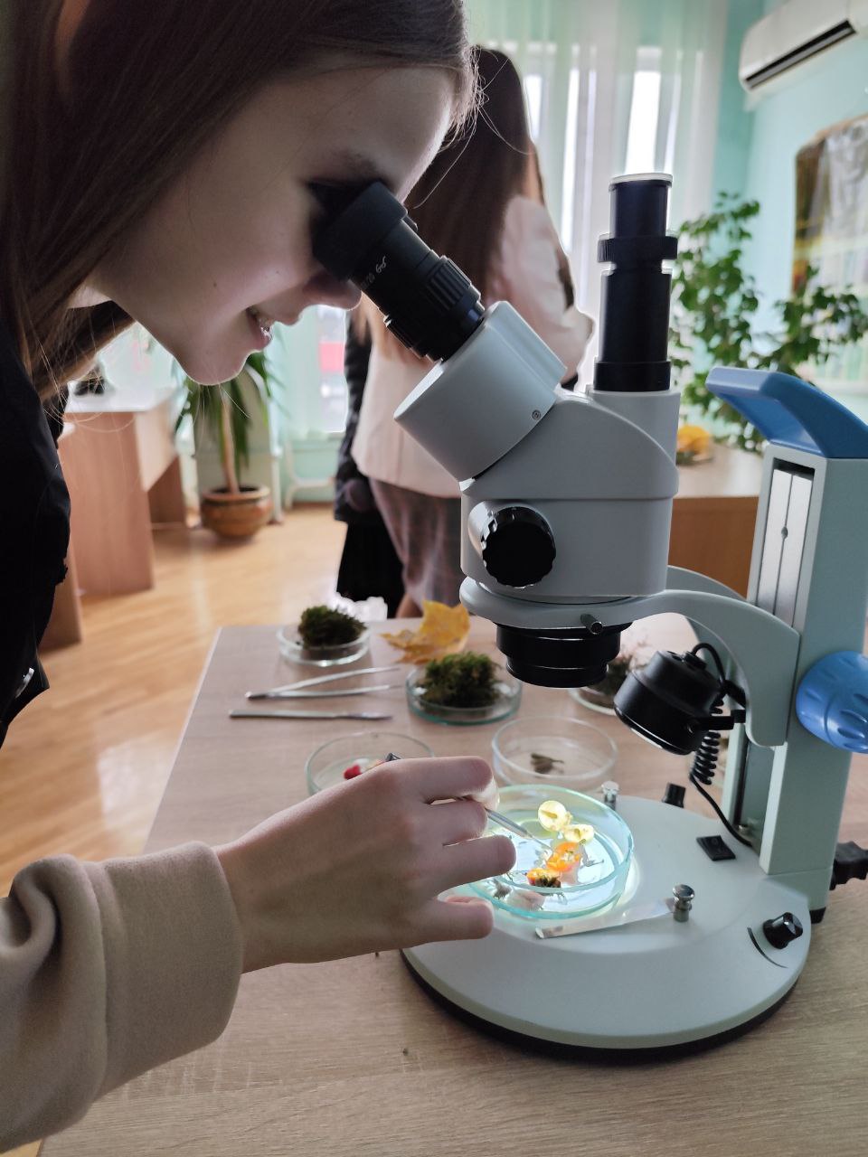 Продовжуємо знайомити учнів із факультетом біології та лісового господарства