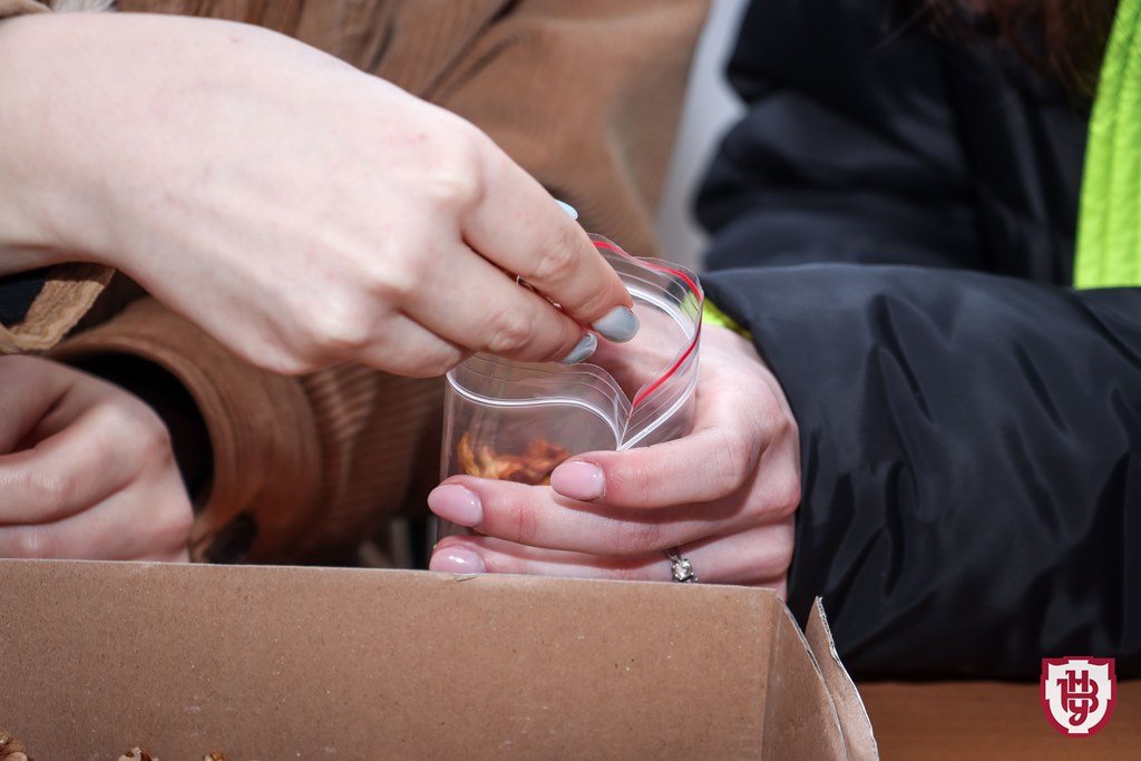 волонтерство