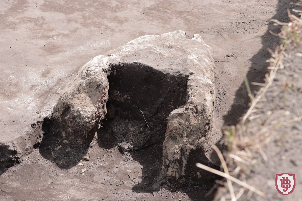 Суспільство